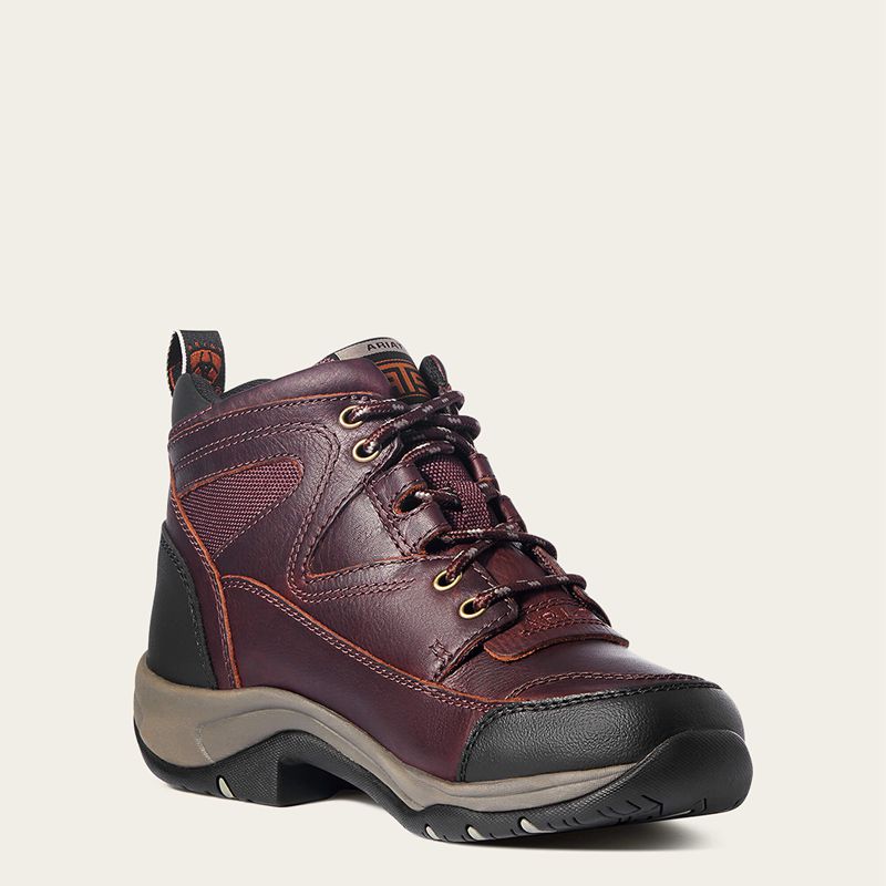 Ariat Terrain Boot Cordovan Femme | RXK-41719946