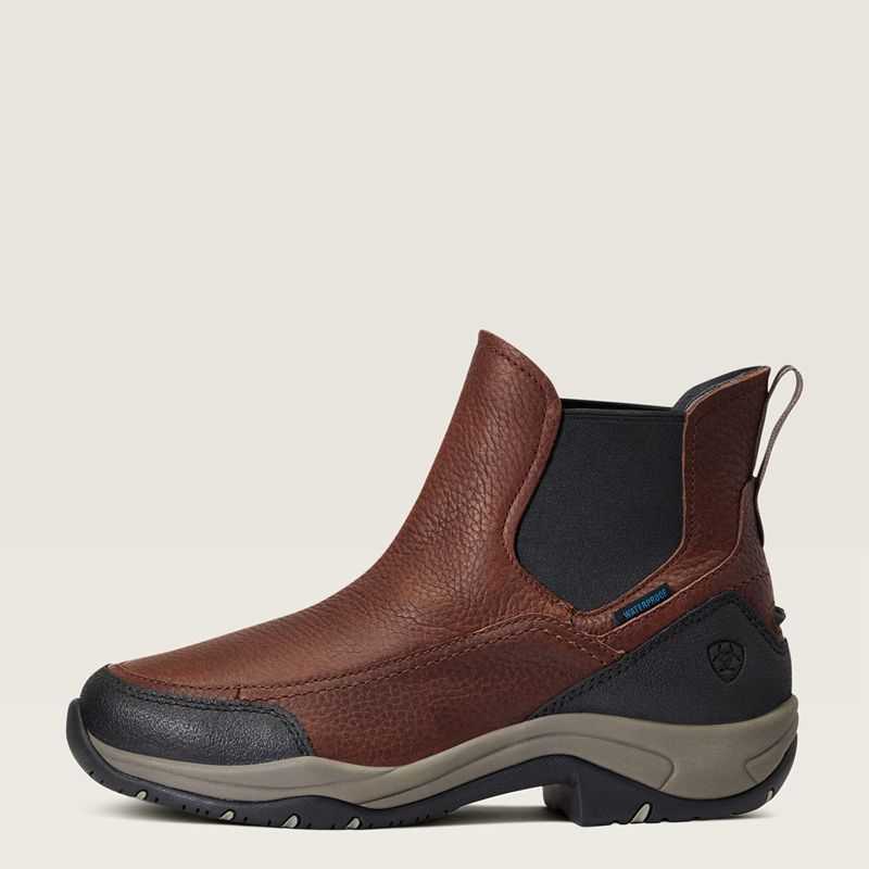 Ariat Terrain Blaze Waterproof Boot Marron Foncé Femme | EQM-12698124