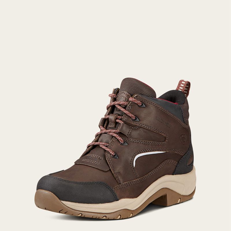 Ariat Telluride Ii H2o Dark_Brown Femme | OIU-46184912