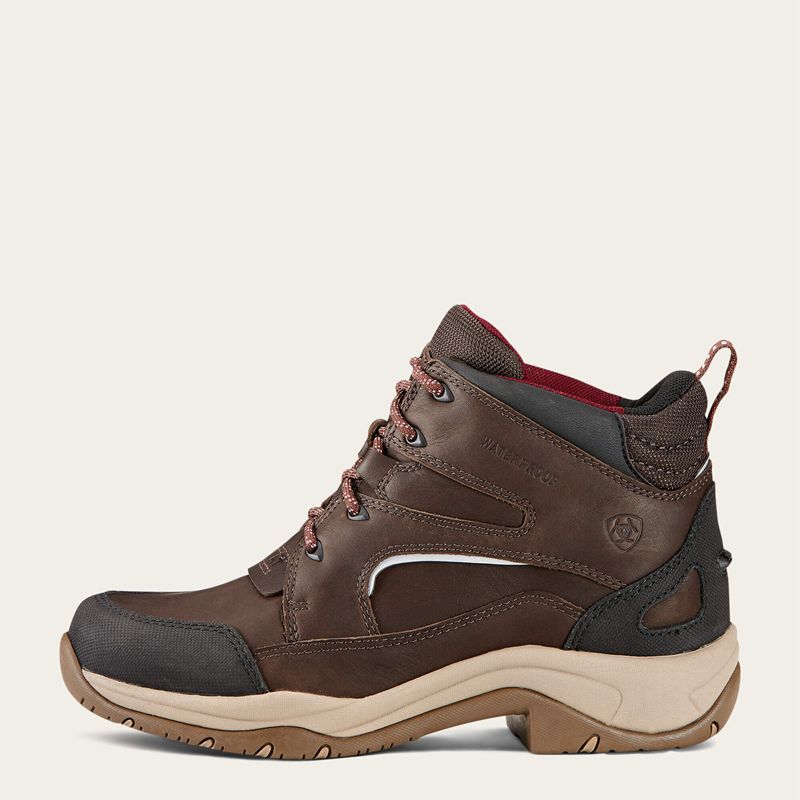 Ariat Telluride Ii H2o Dark_Brown Femme | OIU-46184912