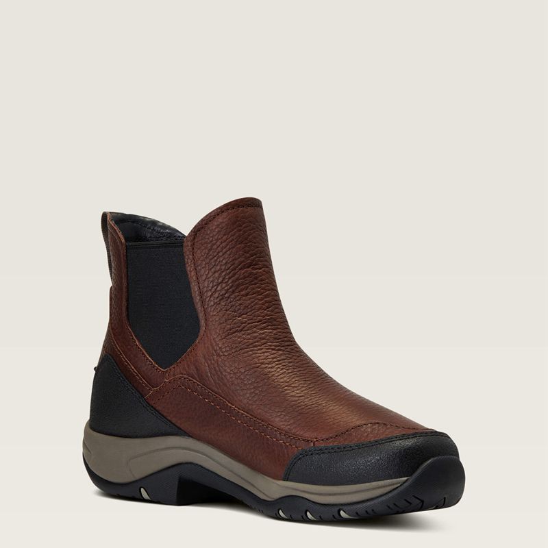 Ariat Terrain Blaze Waterproof Boot Marron Foncé Femme | EQM-12698124