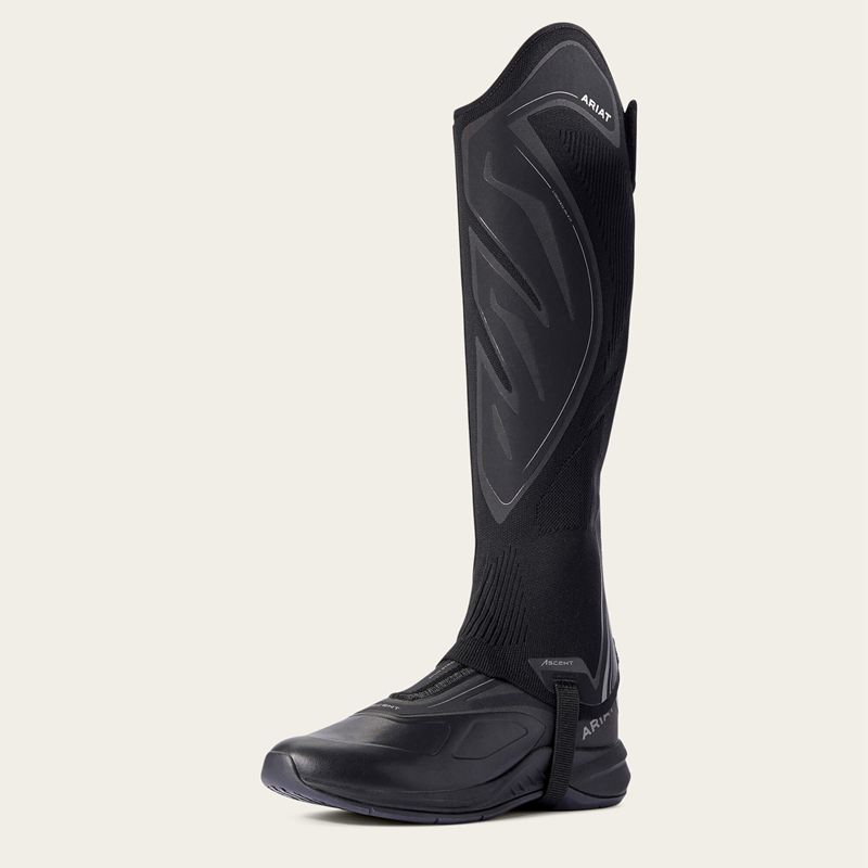 Ariat Ascent Half Chap Noir Femme | OKY-88588966