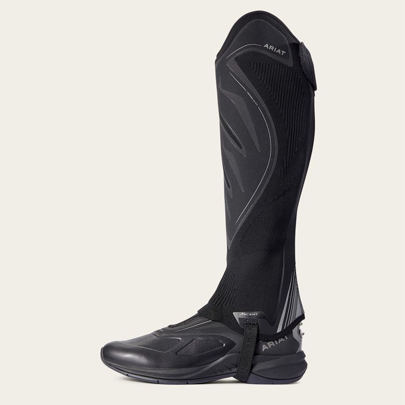 Ariat Ascent Half Chap Noir Femme | OKY-88588966