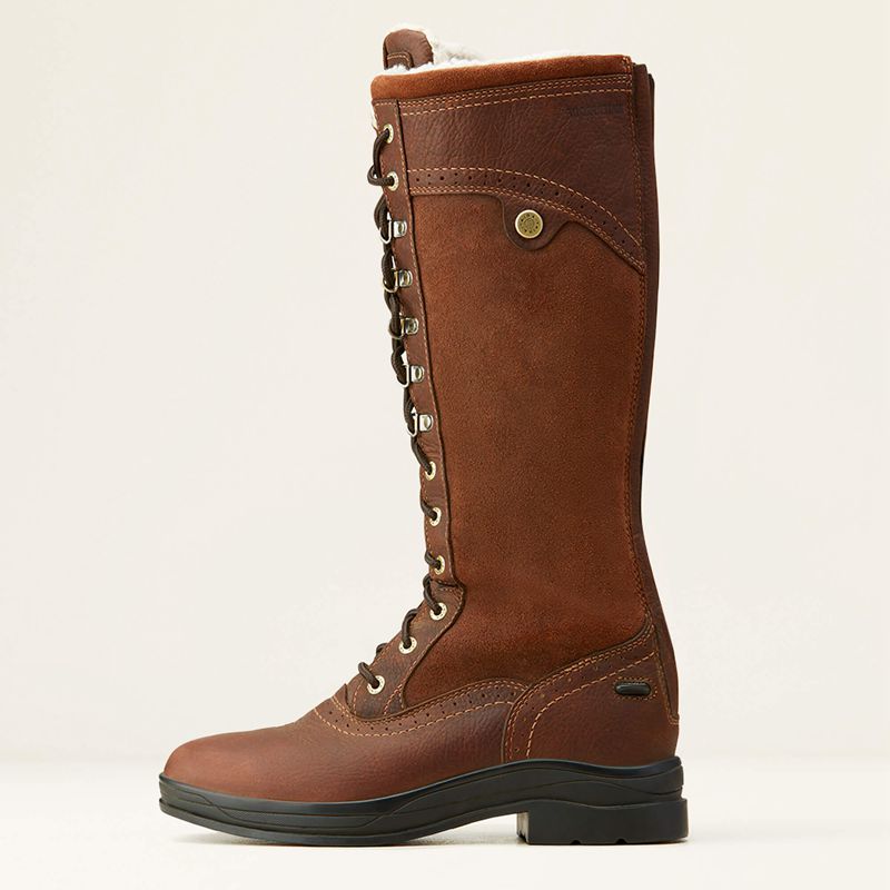 Ariat Wythburn Tall Waterproof Boot Marron Foncé Femme | UHQ-24782504