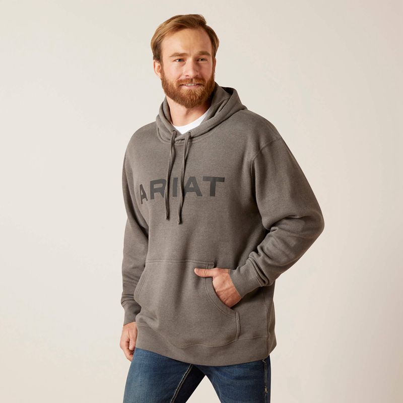 Ariat Logo Hoodie Grise Homme | BLS-03785215