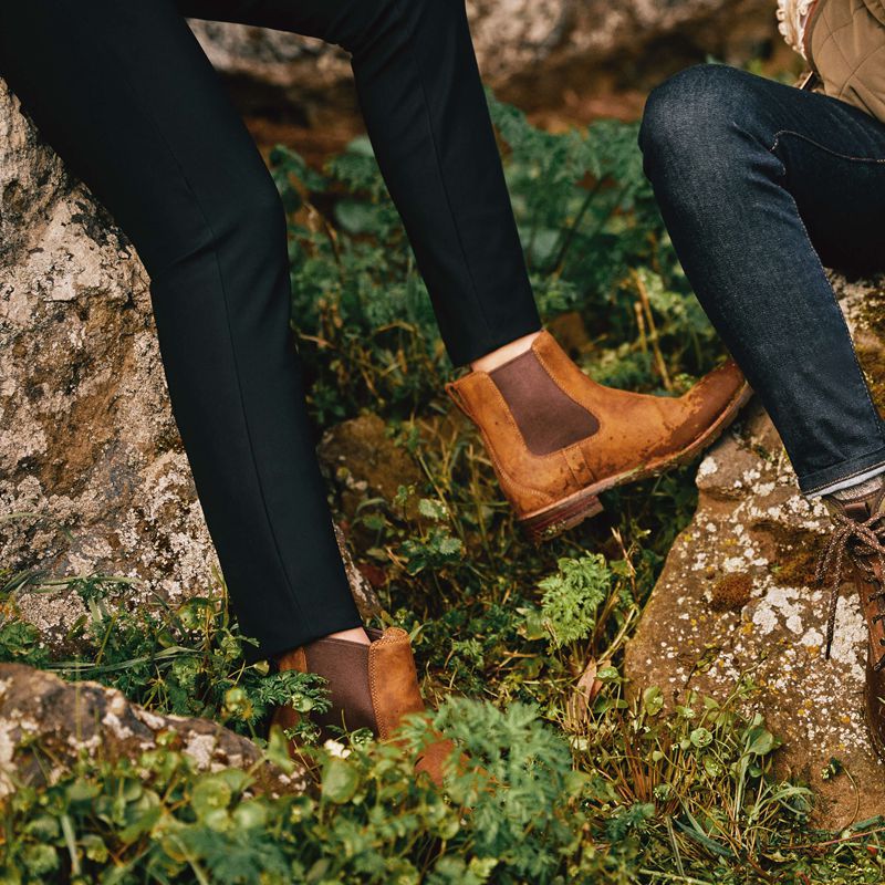 Ariat Wexford Waterproof Chelsea Boot Marron Femme | RKK-21874623