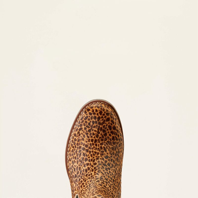 Ariat Wexford Chelsea Boot Cheetah Hair On Femme | CBF-08670253