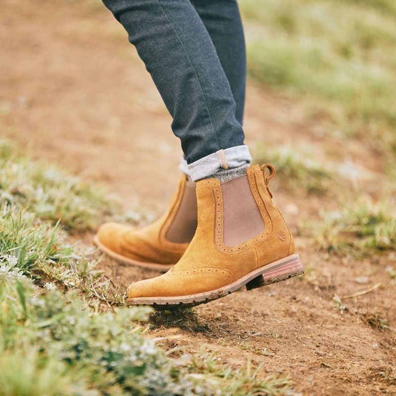 Ariat Wexford Brogue Waterproof Chelsea Boot Weathered Honey Femme | DYD-76785511