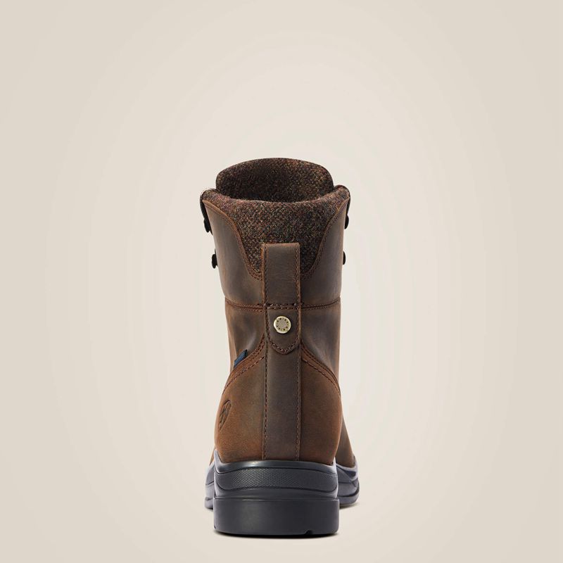 Ariat Harper Waterproof Boot Chocolat Femme | OLD-95645712