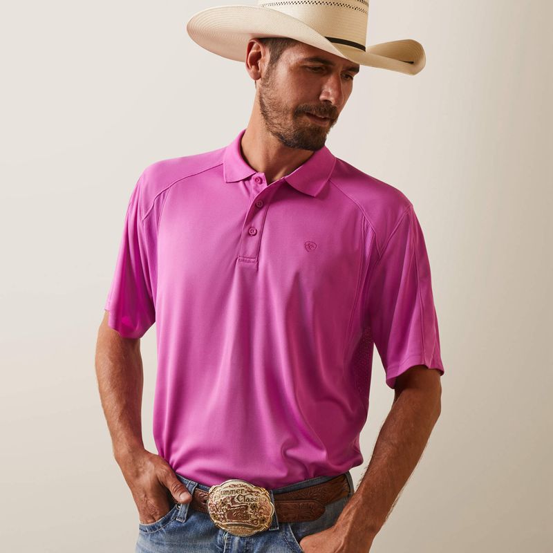 Ariat Ac Polo Dk Orchid Homme | WPR-01799891