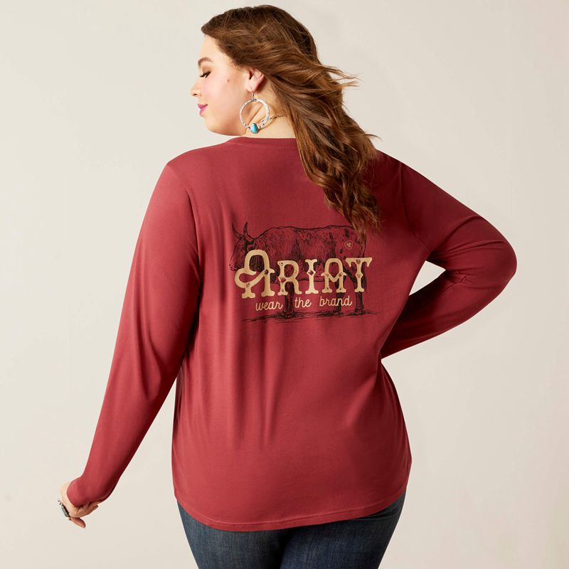 Ariat Wear The Brand Tee Burnt Russet Femme | BKD-51471655