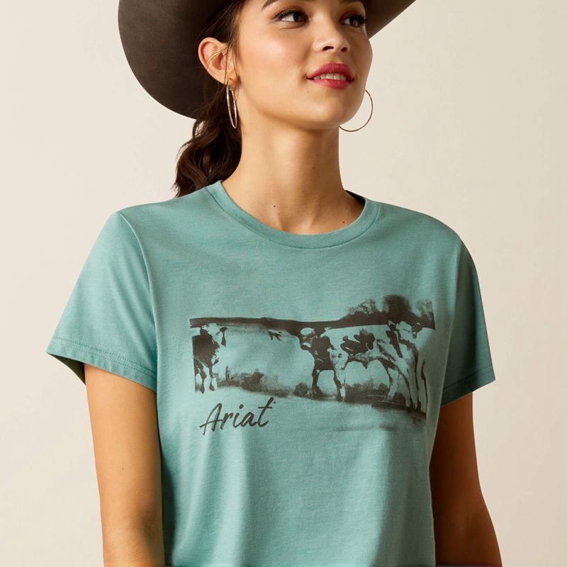 Ariat Wholesome Heffers T-Shirt Bleu Femme | VTO-23922376