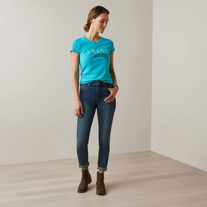 Ariat Toile Dogs T-Shirt Vert Femme | EHN-35099503