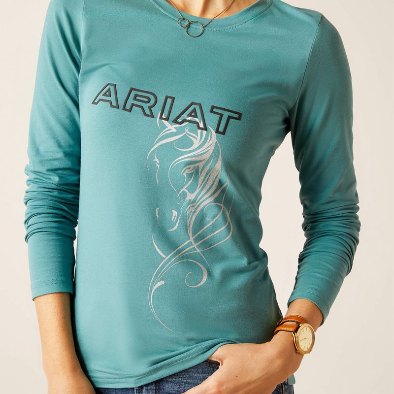 Ariat Silhouette T-Shirt Arctic Femme | QKA-82113364