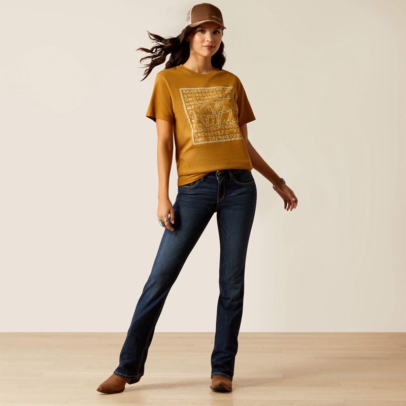 Ariat Longhorn Brand T-Shirt Doré Femme | CDV-35093275