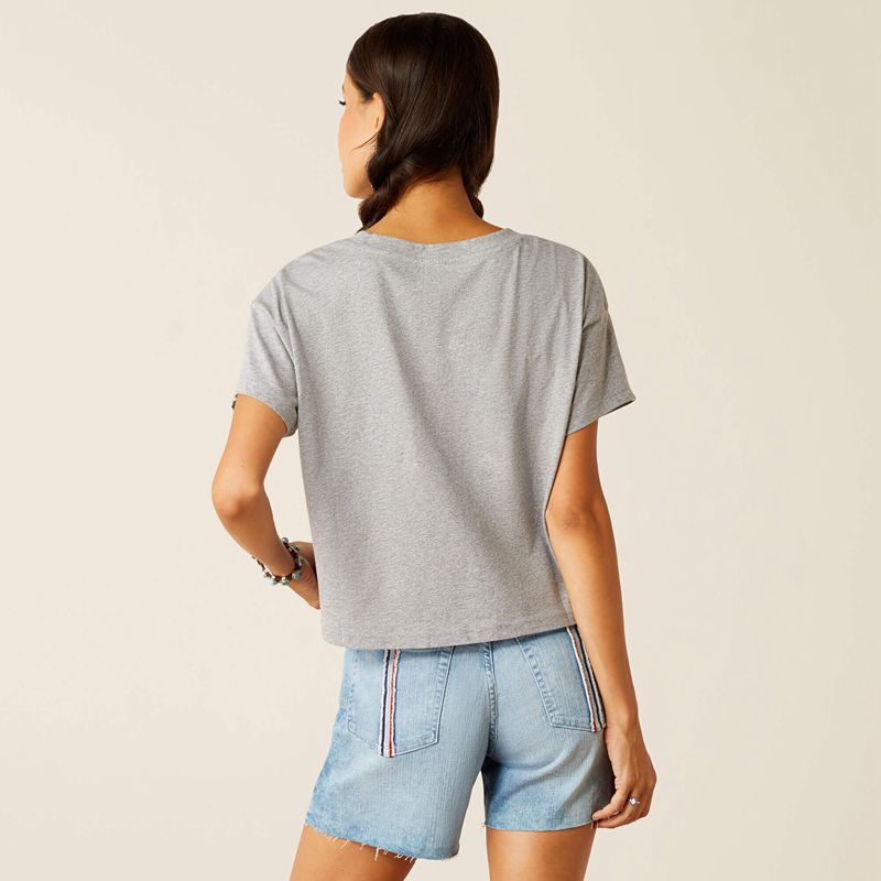 Ariat Homespun Flag T-Shirt Grise Femme | PBI-32033843