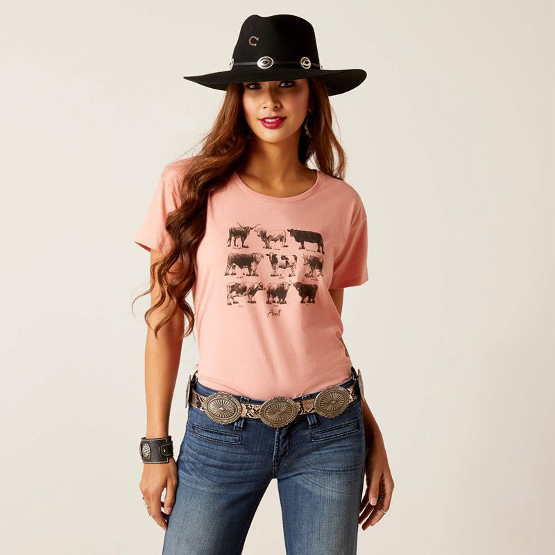 Ariat Cow Chart T-Shirt Sunset Heather Femme | ZTD-65073021