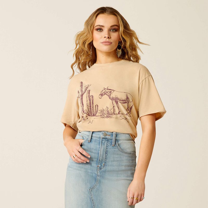 Ariat Burro T-Shirt Blanche Lavage Femme | XZW-59974574