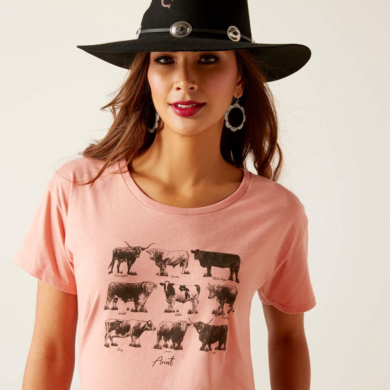 Ariat Cow Chart T-Shirt Sunset Heather Femme | ZTD-65073021