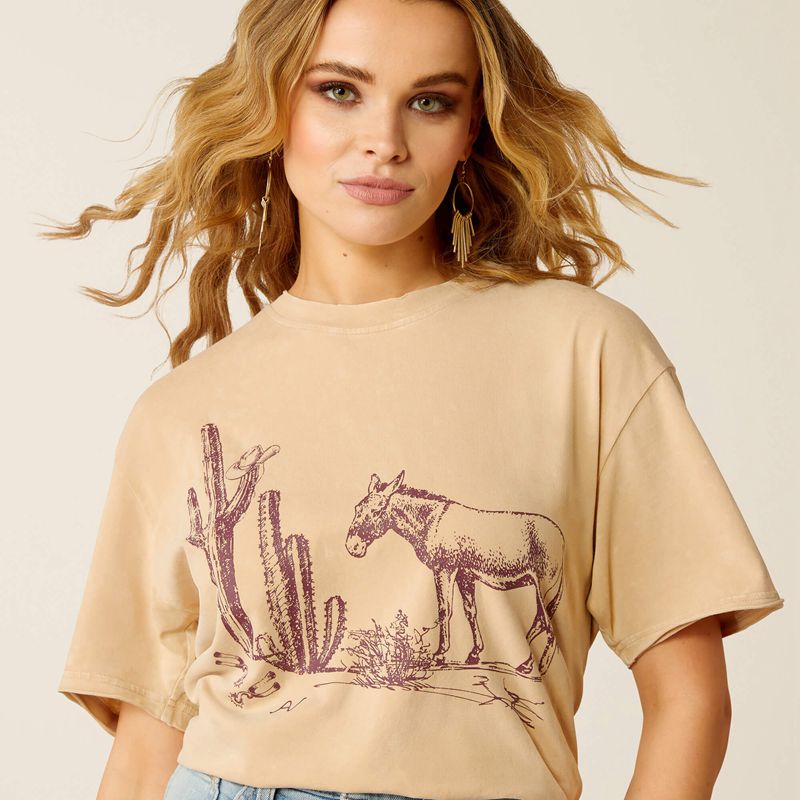 Ariat Burro T-Shirt Blanche Lavage Femme | XZW-59974574