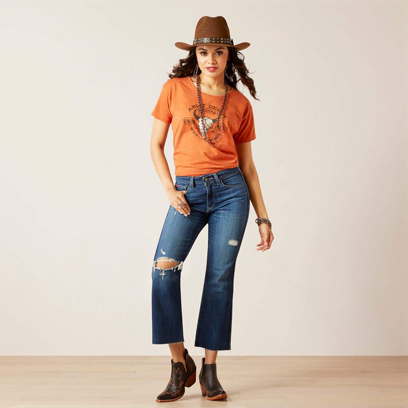 Ariat Bison Skull T-Shirt Adobe Heather Femme | BWY-05314414