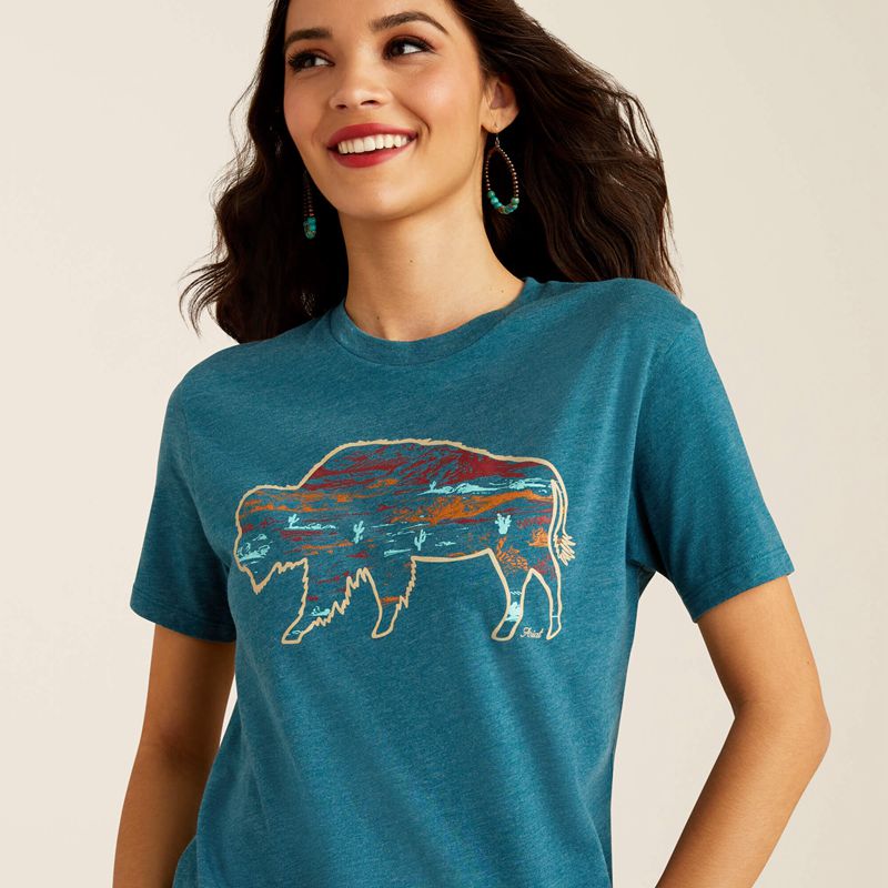 Ariat Bison Ranch T-Shirt Noir Femme | BVE-94027795