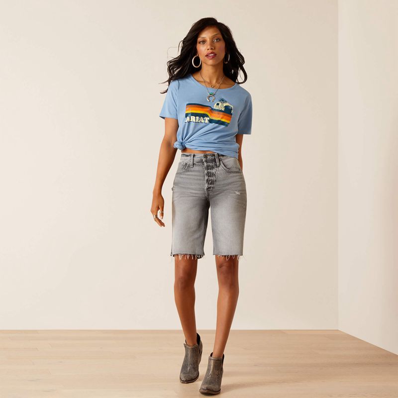 Ariat Acres T-Shirt Bleu Clair Femme | OHE-69404750