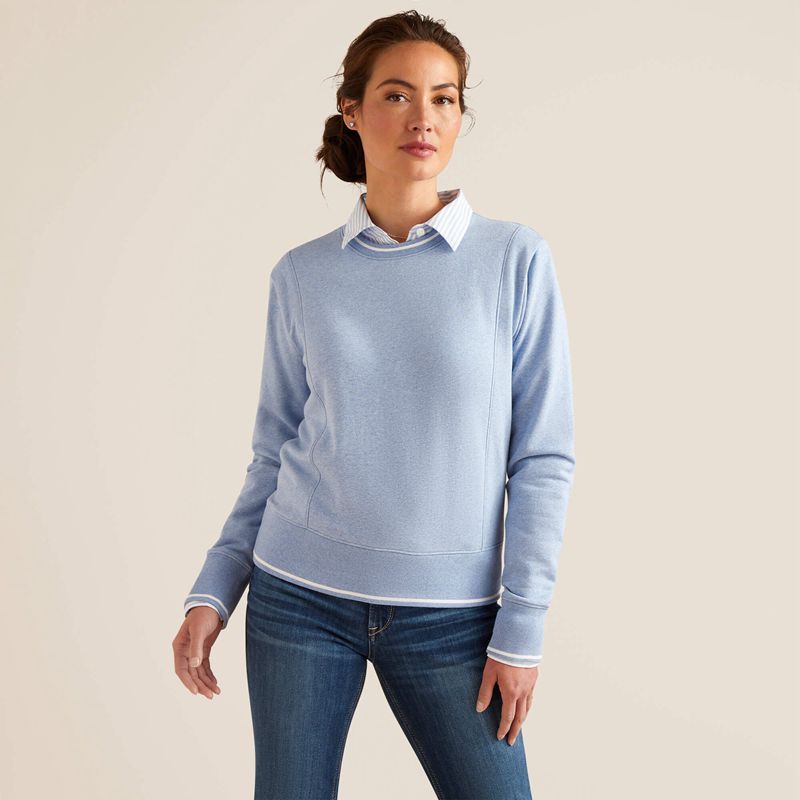 Ariat Tedstock Sweatshirt Bleu Clair Femme | BRL-70022211