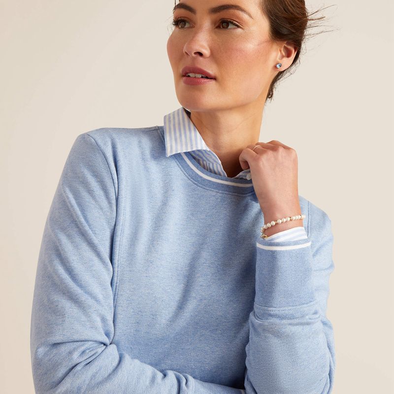 Ariat Tedstock Sweatshirt Bleu Clair Femme | BRL-70022211