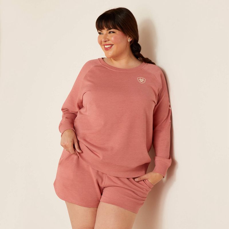 Ariat Logo Sweatshirt Rose Femme | RIM-41760595