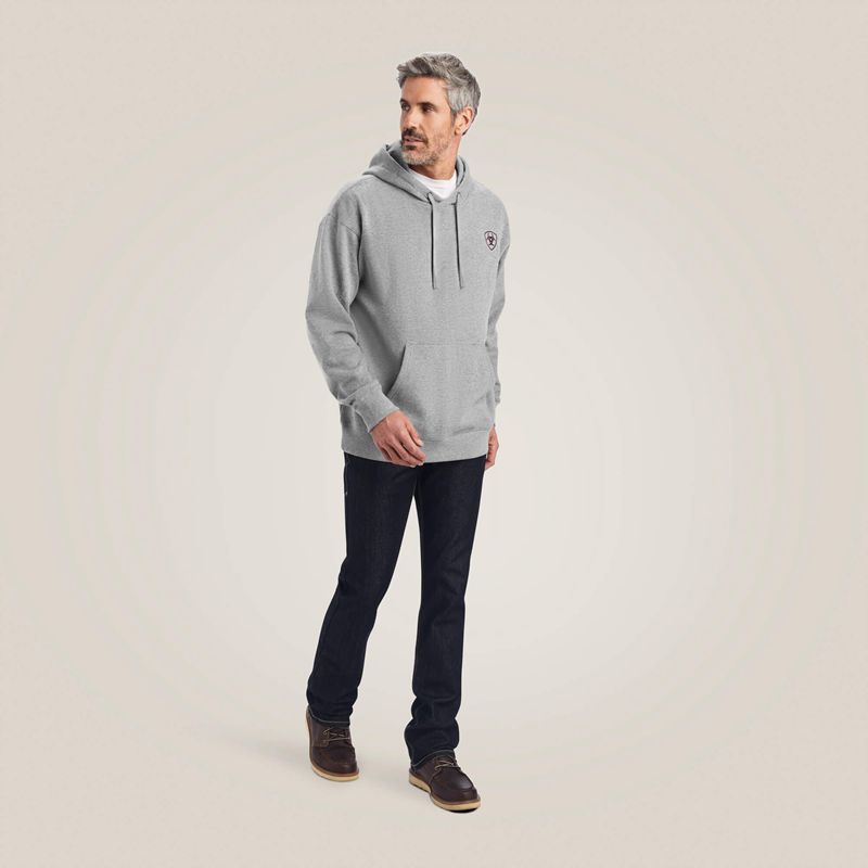 Ariat Logo Hoodie Grise Homme | DXF-04976974