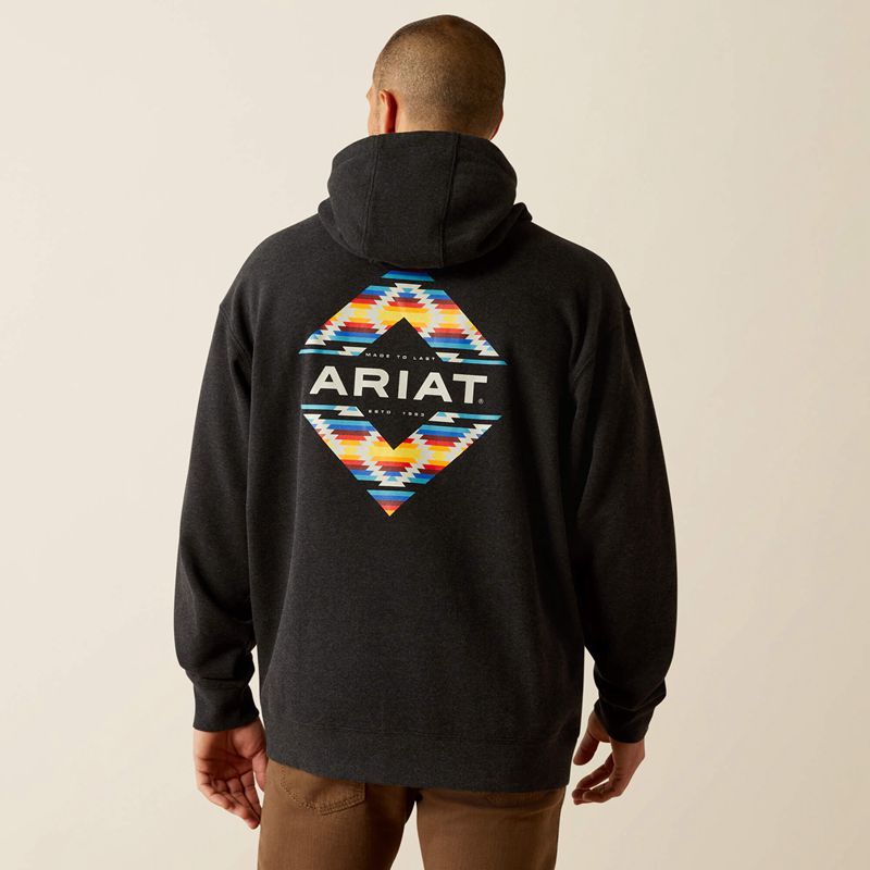 Ariat Diamond Canyon Hoodie Noir Homme | YPK-52028227