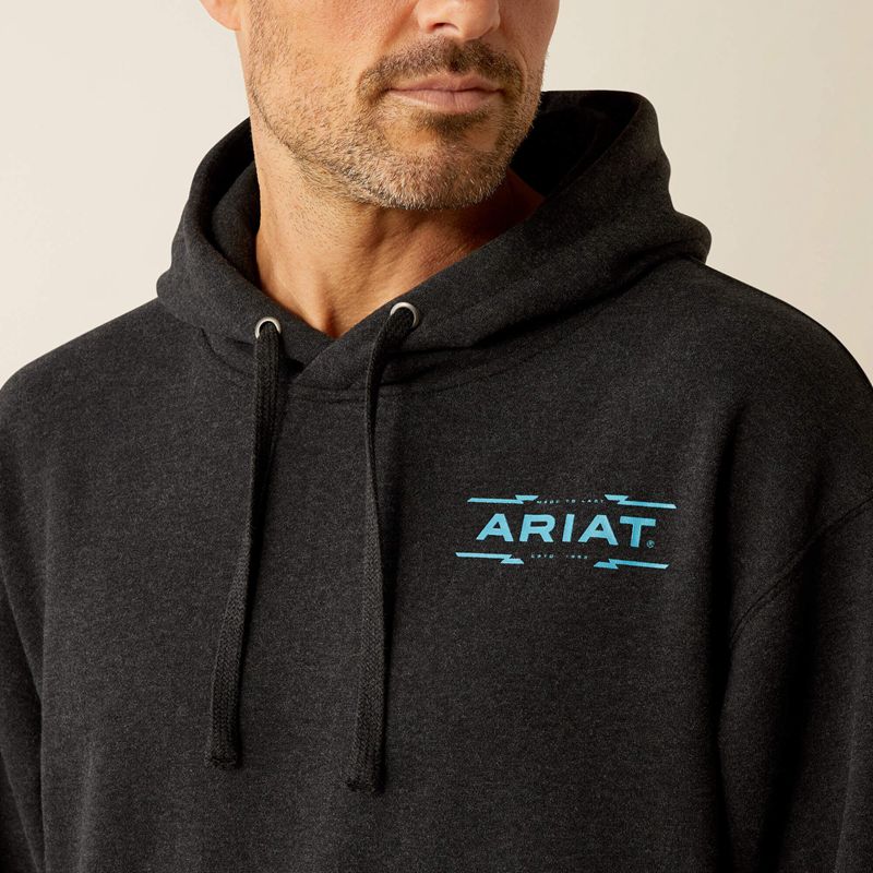 Ariat Diamond Canyon Hoodie Noir Homme | YPK-52028227