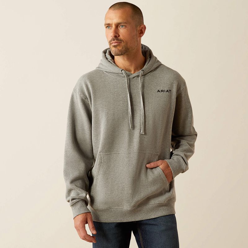 Ariat Bold Hex Hoodie Grise Homme | WWT-87544126