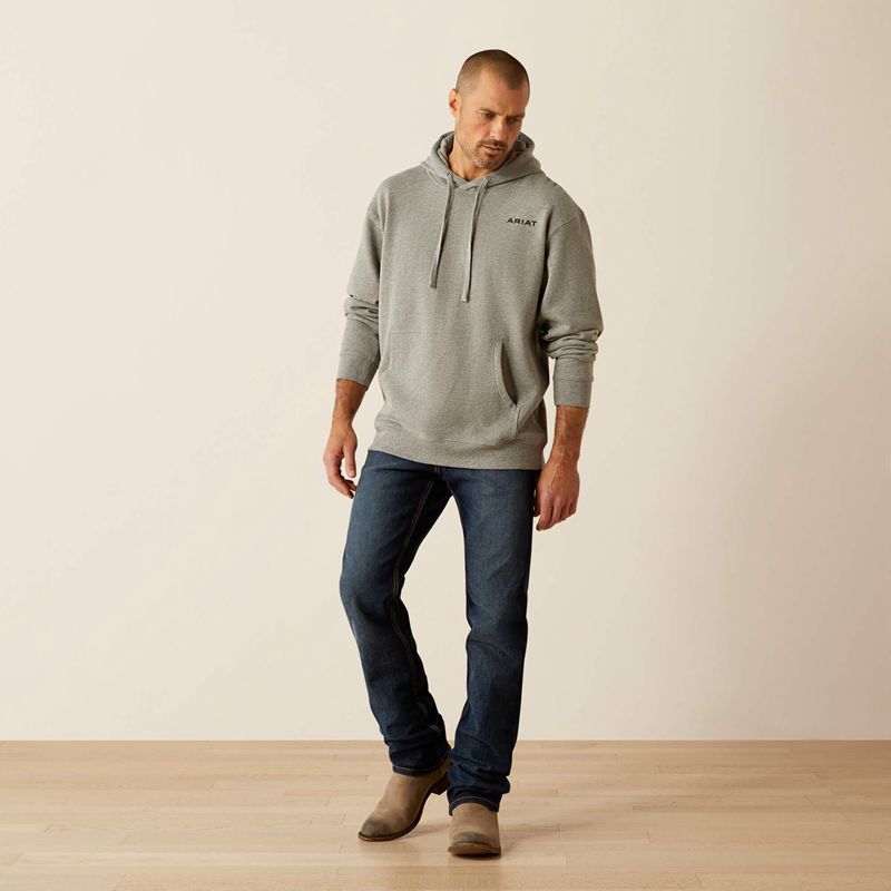 Ariat Bold Hex Hoodie Grise Homme | WWT-87544126