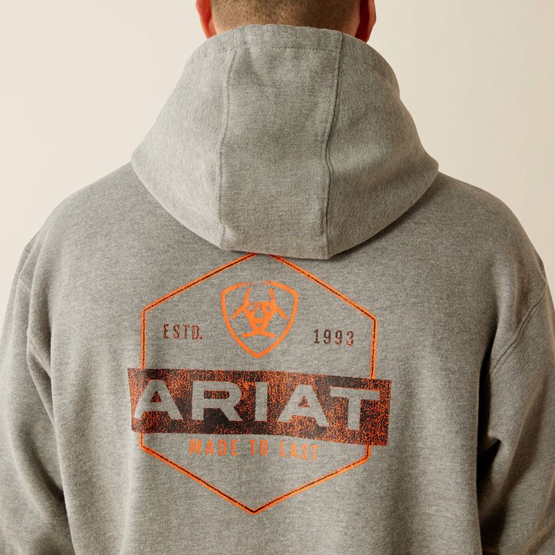 Ariat Bold Hex Hoodie Grise Homme | WWT-87544126