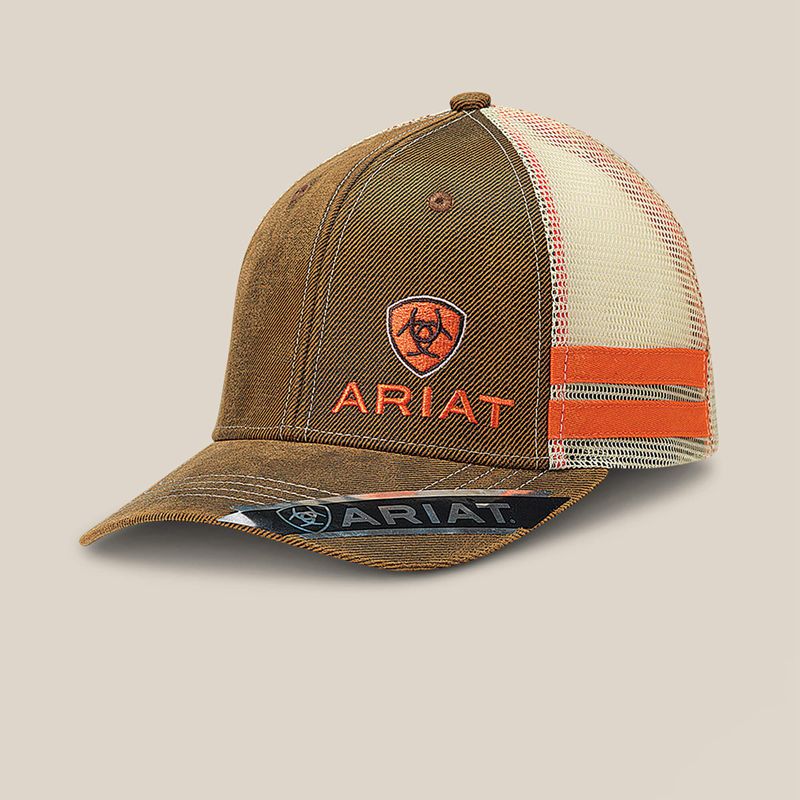 Ariat Structured Medium High Cap Marron Homme | GBF-05318998