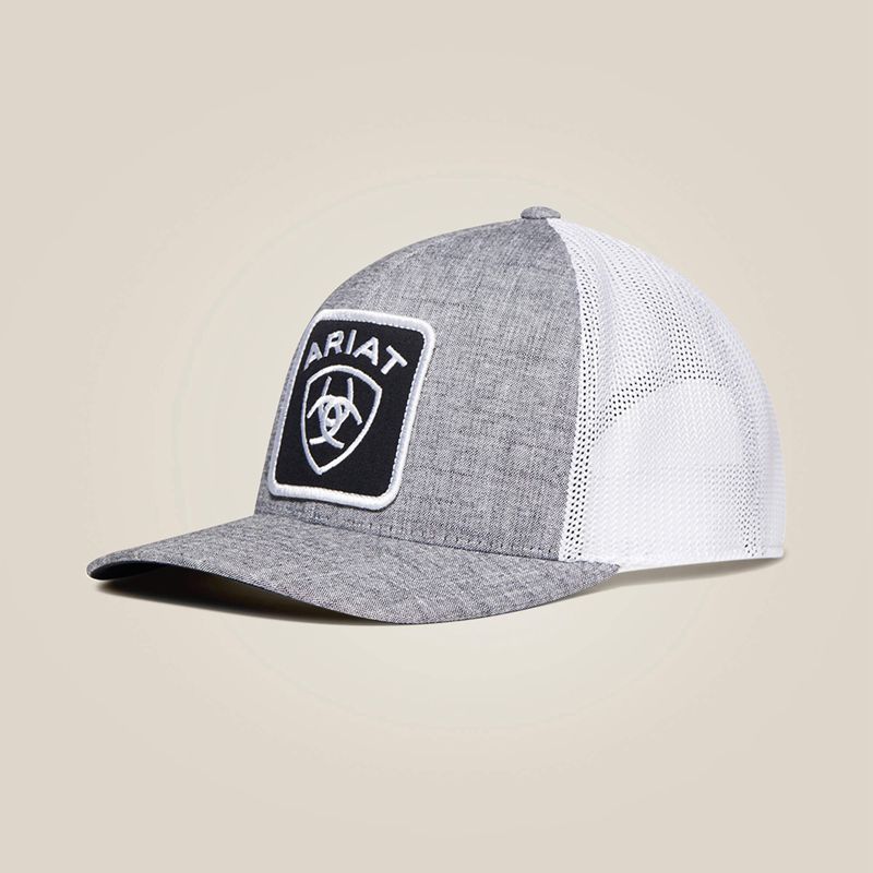 Ariat Logo Patch Cap Gray Homme | EJK-45911922