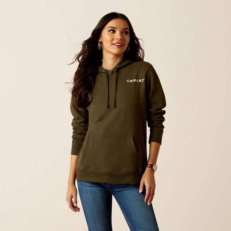 Ariat Stamp Hoodie Relic Femme | FGO-11787984