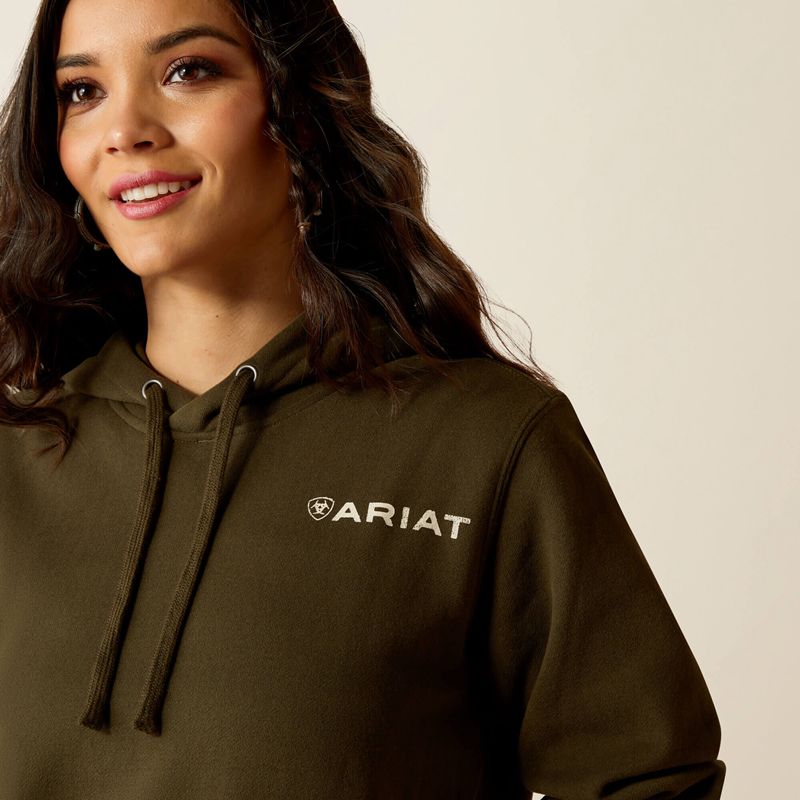 Ariat Stamp Hoodie Relic Femme | FGO-11787984